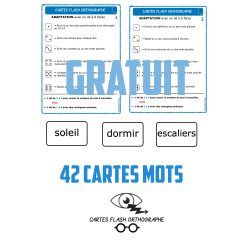Cartes Flash Orthographe 1