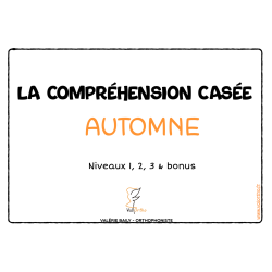 La Compréhension Casée Automne