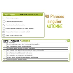 Défis - Phrases - Automne