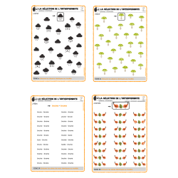 La sélection de l'orthophoniste - Automne
