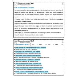 Bonjour les Oursons Bonus et Niveau 1