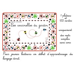 Les coccinelles du jardin