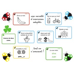 Les coccinelles du jardin