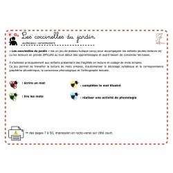 Les coccinelles du jardin