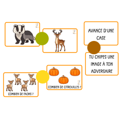 Le parcours du renard