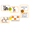 Le parcours du renard