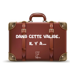 Dans cette valise, il y a...